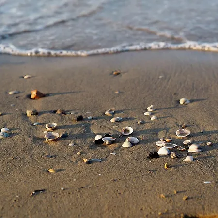 Διαμέρισμα Well Equipped In Bibione-beahost